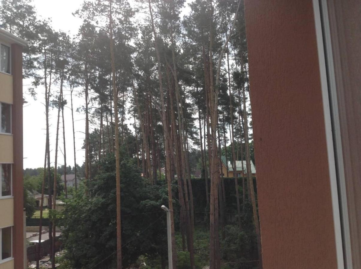 Шикарная 2К Квартира Центральный Парк Университет 70М Irpin Buitenkant foto